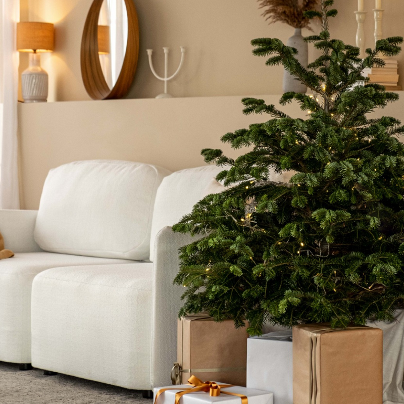 7 original ideas to decorate the living room for Christmas with Pummba